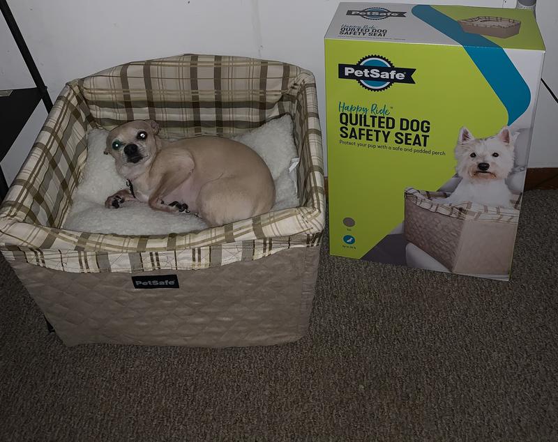 Pet Safe Happy Ride #GotitFree #HappyChi