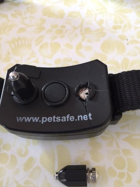 petsafe yardmax replacement collar