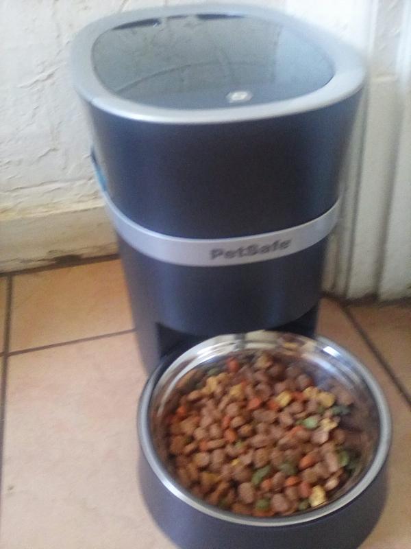Petsafe smart feed review best sale