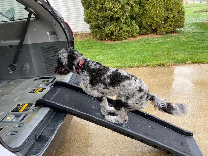 Lip of ramp grips onto edge of minivan.
