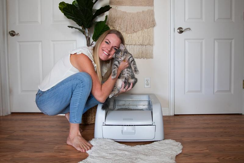 New Kitten, New Litter Box! WIN!