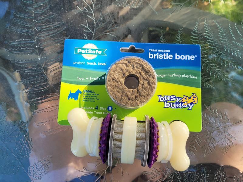 PetSafe Busy Buddy BRISTLE BONE Dog Toy Dental Treat and Chew Medium