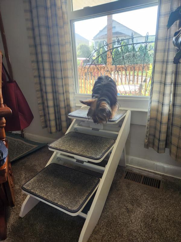 Dog window clearance perch with ramp