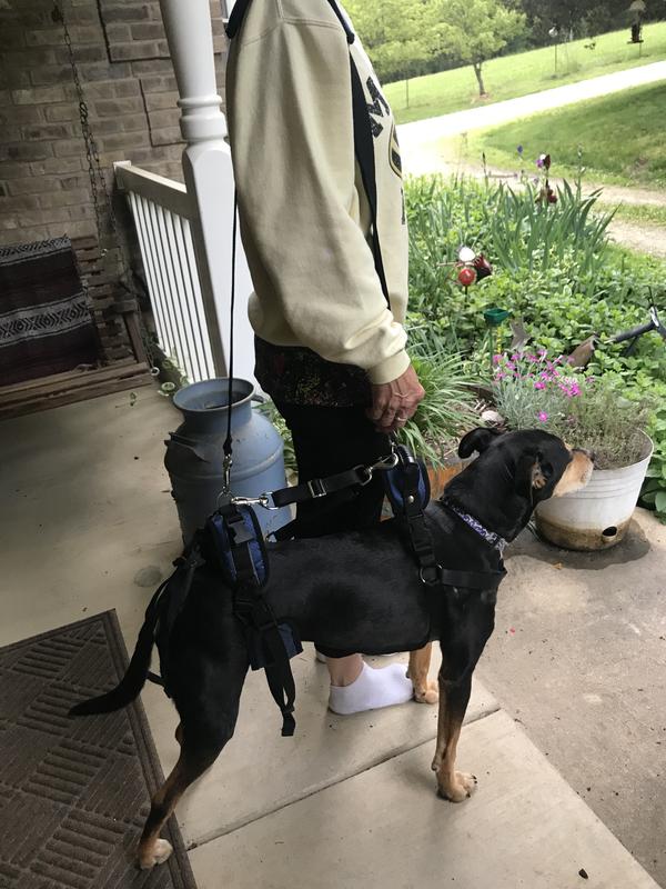 Using the shoulder strap