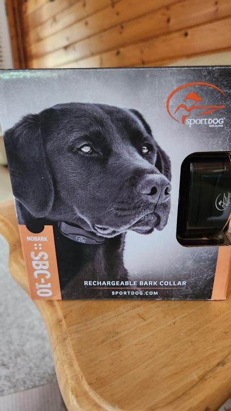 Petsense bark collar best sale