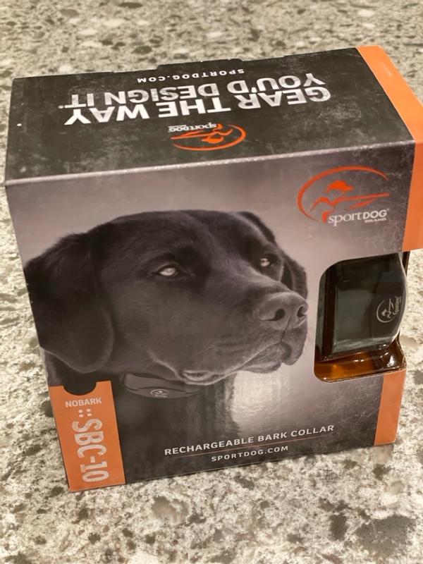 No bark collar reviews hot sale