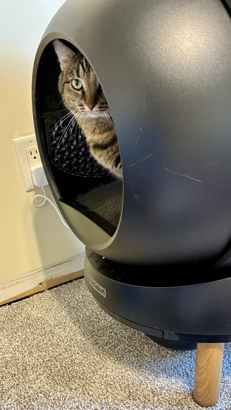 Privacy Please