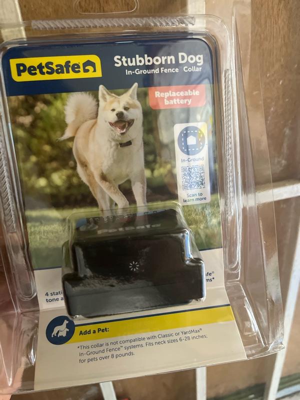 PetSafe Stubborn Dog Fence Collar Receiver - PRF-275-19 For In-Ground Fence - FREE BATTERIES Included