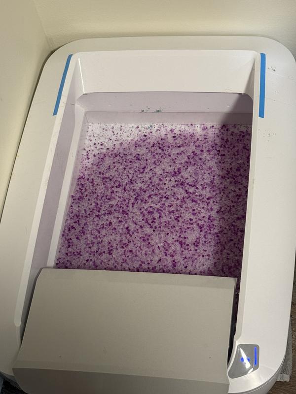 Fresh litter box
