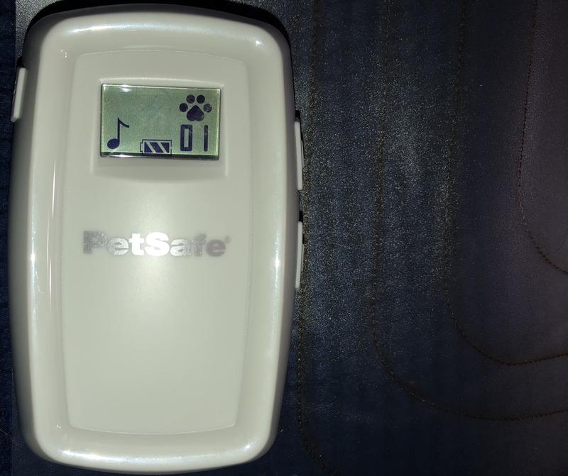 The little paw print shows it’s been alerted.