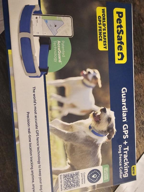 PetSafe Guardian GPS + Tracking Dog Fence Collar Petco