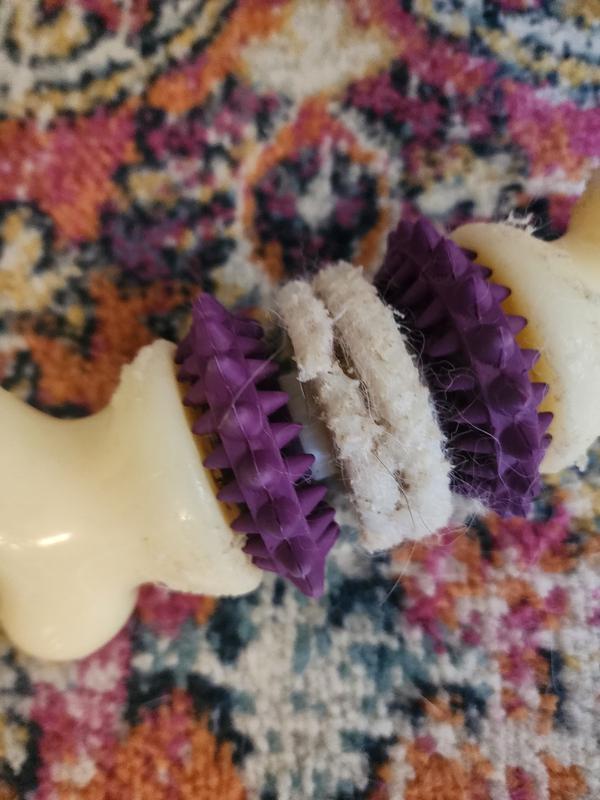 The toy after a couple hours.