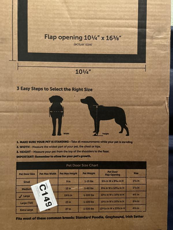 I have a large size. My dog is 56lbs and can easily fit thru. A person’s shoulders are clearly too big to fit thru though so that’s comforting.