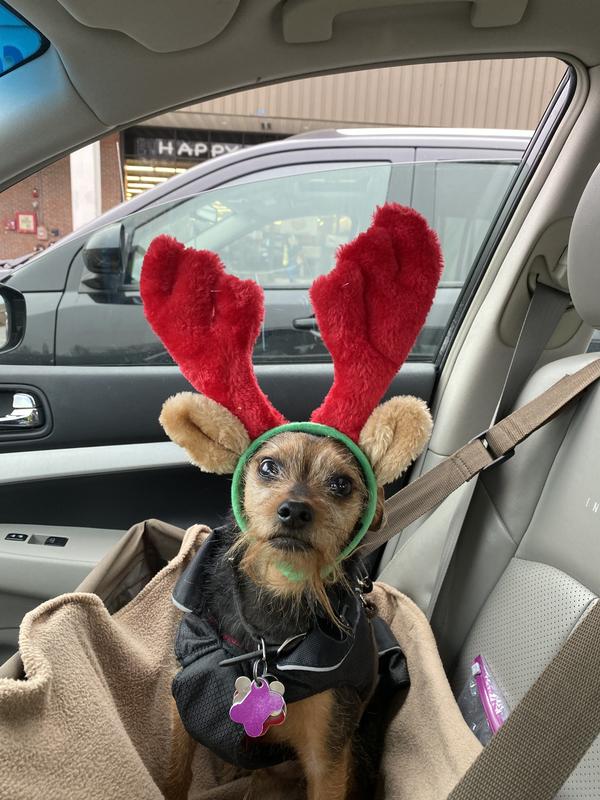 Jaxon in his seat in 2022