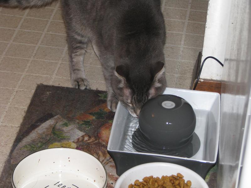 Colton likes it too.