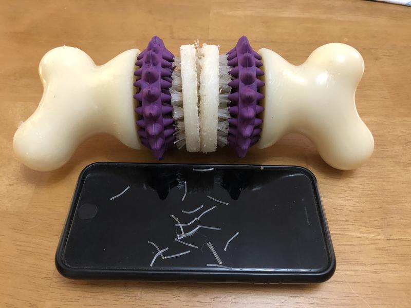 Bristles everywhere!