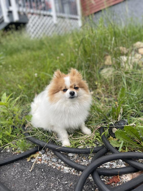 The Mouth of the house!!