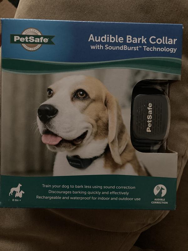 Audible Bark Collar PetSafe