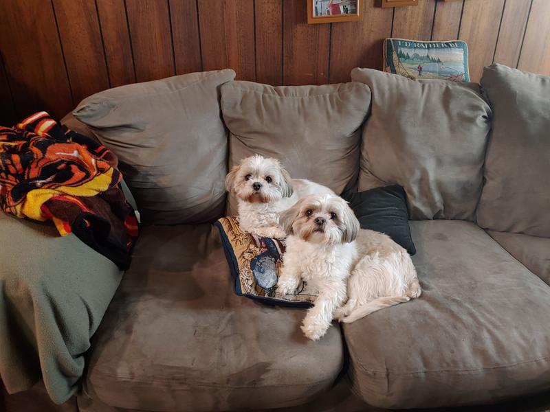 The 2 product testers