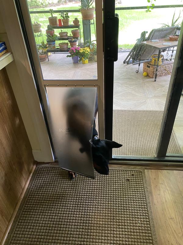 Petco sliding glass sales dog door