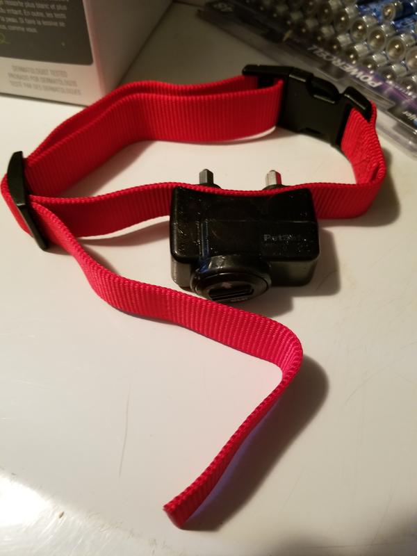 petsafe remote trainer replacement collar