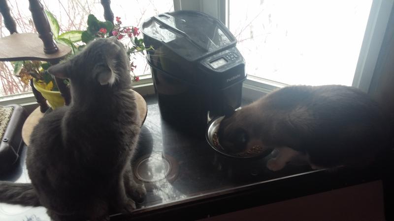 Smelling the flowers while waiting my turn.