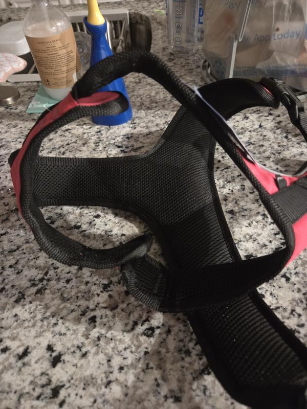 Harness