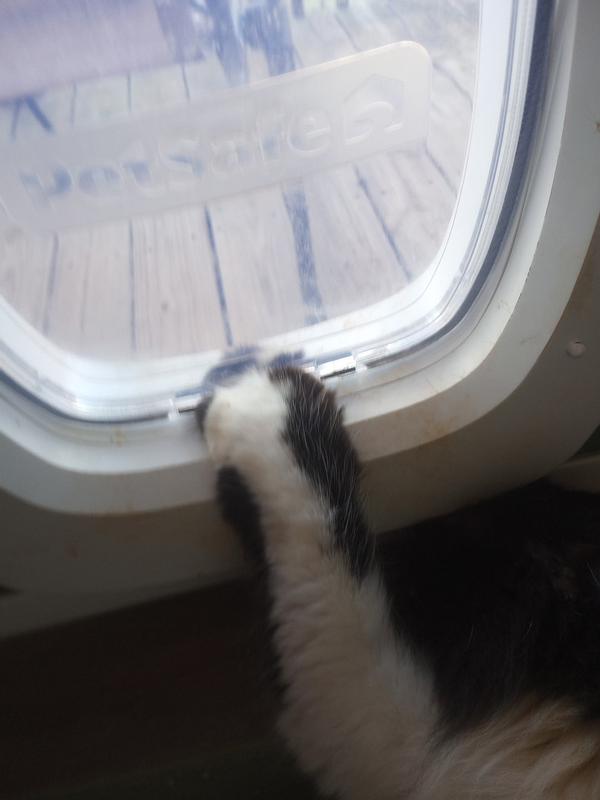 Paw trapped, cat screaming, can't open in either direction without breaking his paw