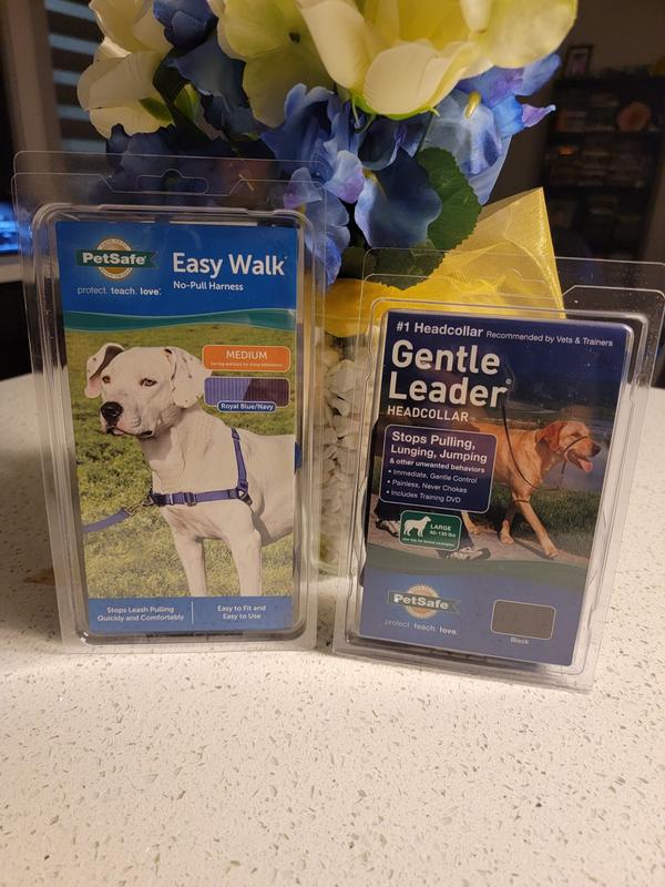 Excellent packaging!