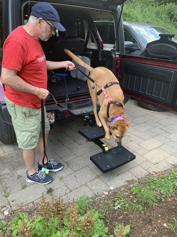 Dog step outlet for car hitch