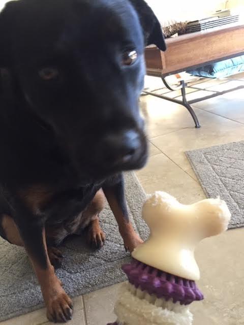 rawhide rings for dogs