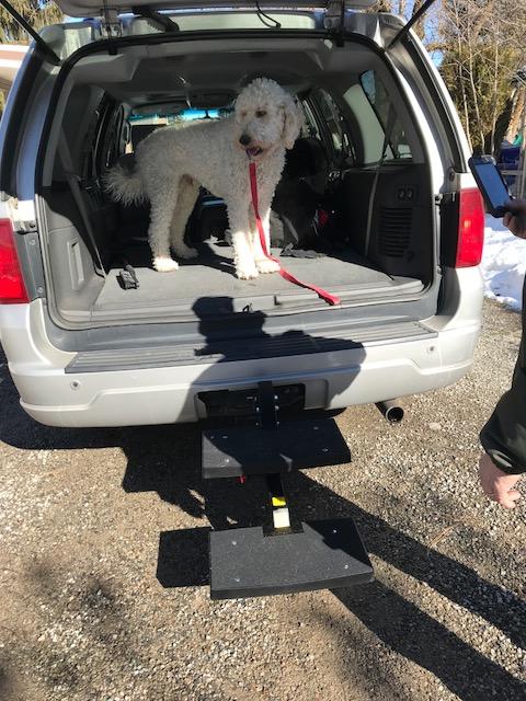 Hitch mounted dog step best sale