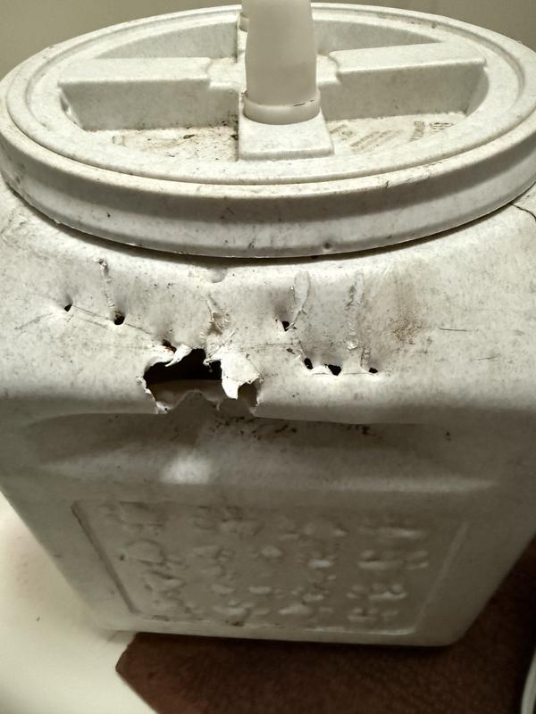 Review photo 1.