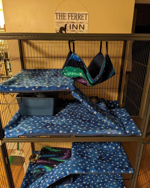 Midwest ferret nation double best sale unit with stand ferret cage