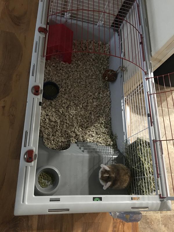 Living world rabbit cage best sale