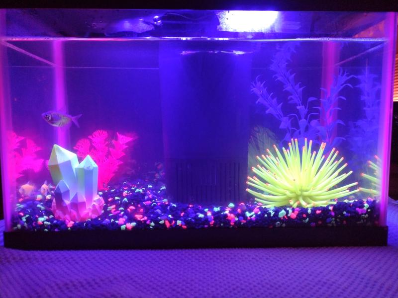 Neoglow 5.5 clearance led aquarium kit