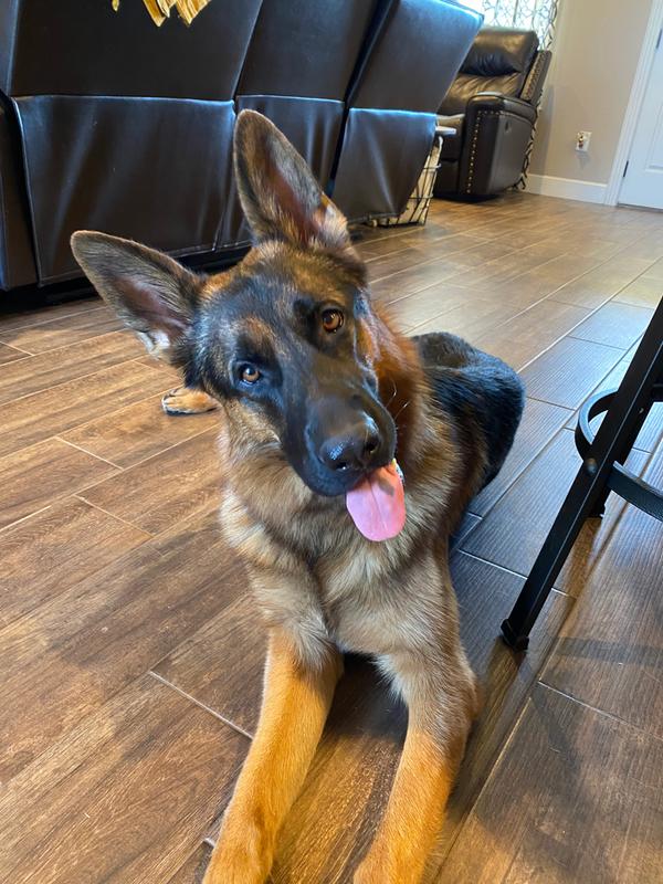 performatrin ultra pet supermarket