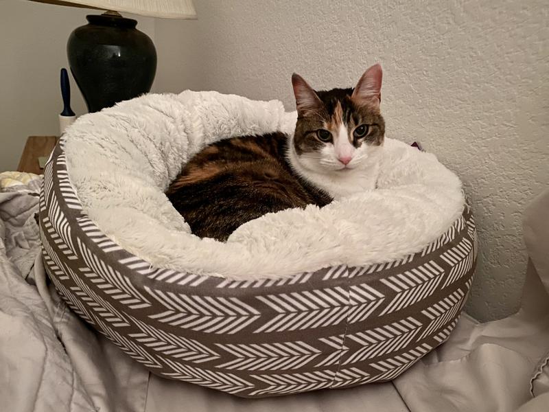 Play On Cat Bed Comfy Donut Pet Supplies Plus