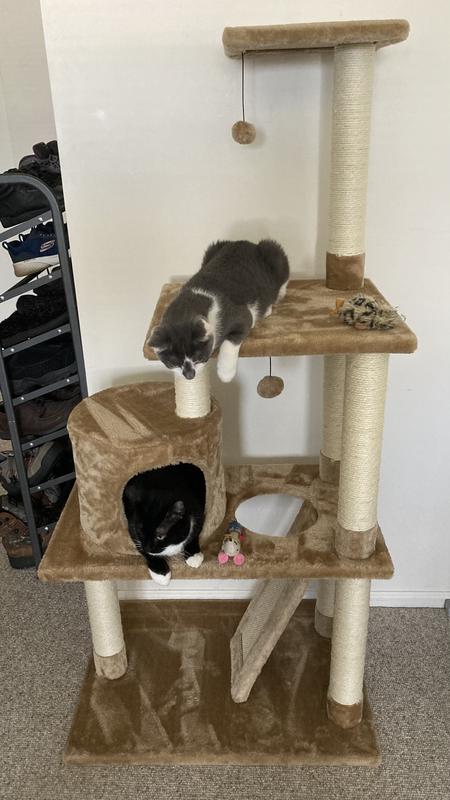 Pet supplies shop plus cat tree