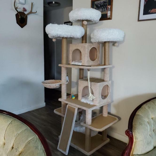PetPals Catry Castle XL Cat Tree with Condos & Hammock