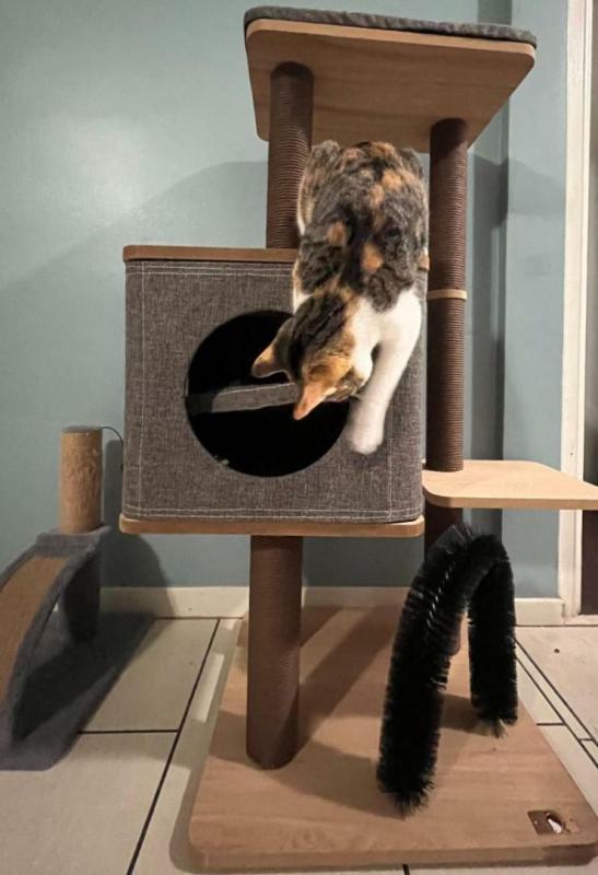 PetPals 3-Level Cubic Cat Tree with Scratch Posts & Perches