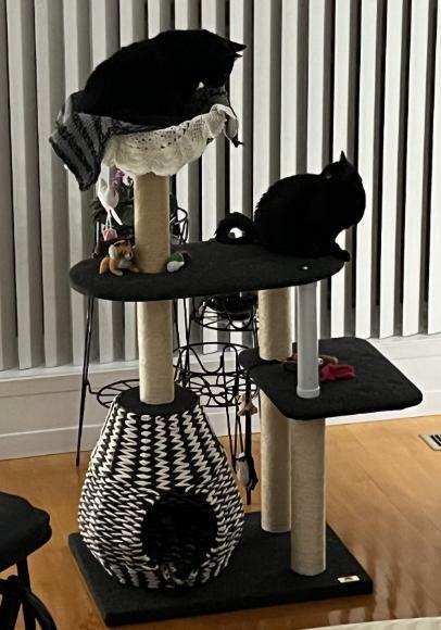 PetPals Group Ace Paper Handcrafted Cat Tree Condo, Sisal Rope ...