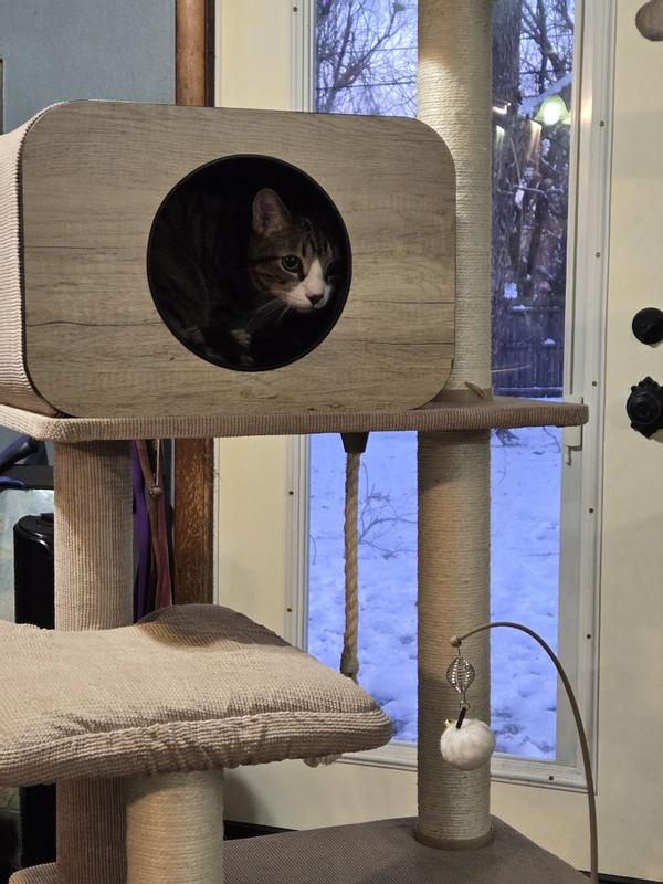 Modern Laminated Cat Tree - Jiminy – Catry International