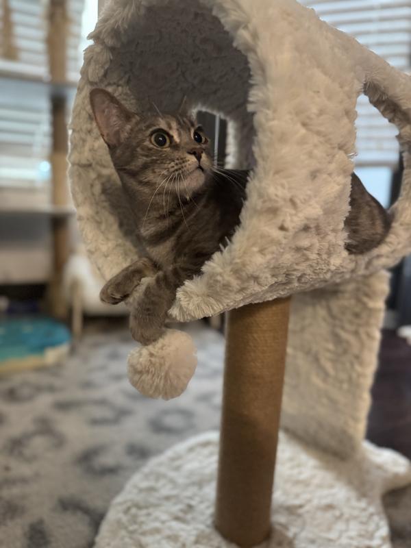 Bunny loves a good hiding spot