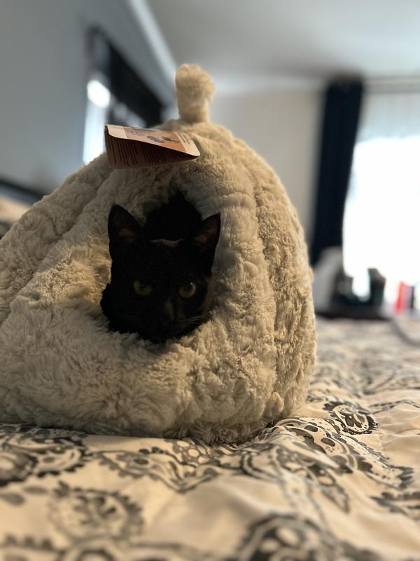 she was chillin in here for the entire morning