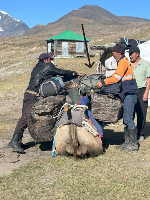 User uploaded product image