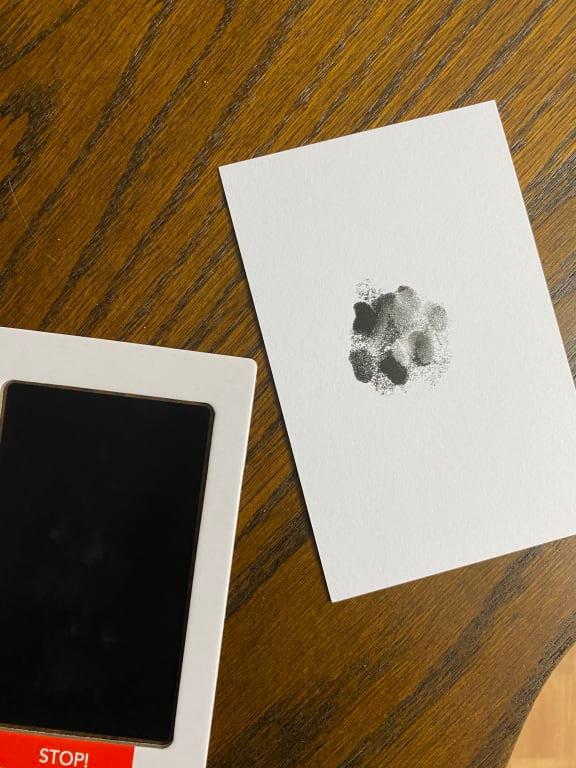 Pearhead Pet Paw Print Clean-Touch Ink Pad and Imprint Cards, Cats