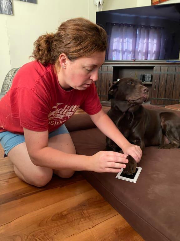 Pearhead Pet Pawprints Clean-Touch Ink Pad for Dogs and Cats
