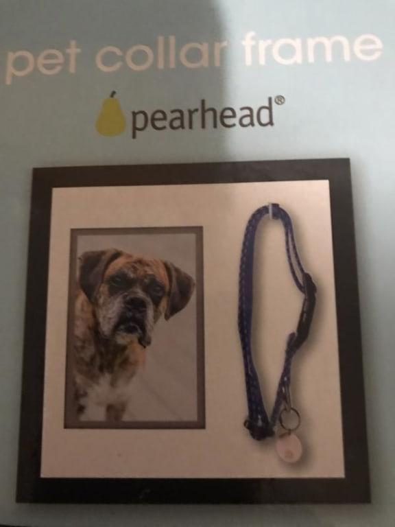 Pearhead dog best sale collar frame