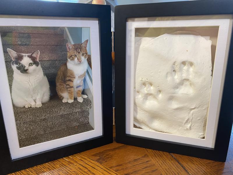  Pearhead Dog or Cat Pawprint Tabletop Photo Frame With